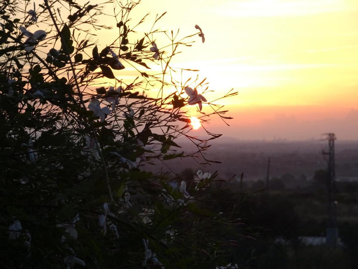 L'Albaida, Tranquility, Views Of Sea And Mountains Appartement Vilanova de Escornalbou Buitenkant foto