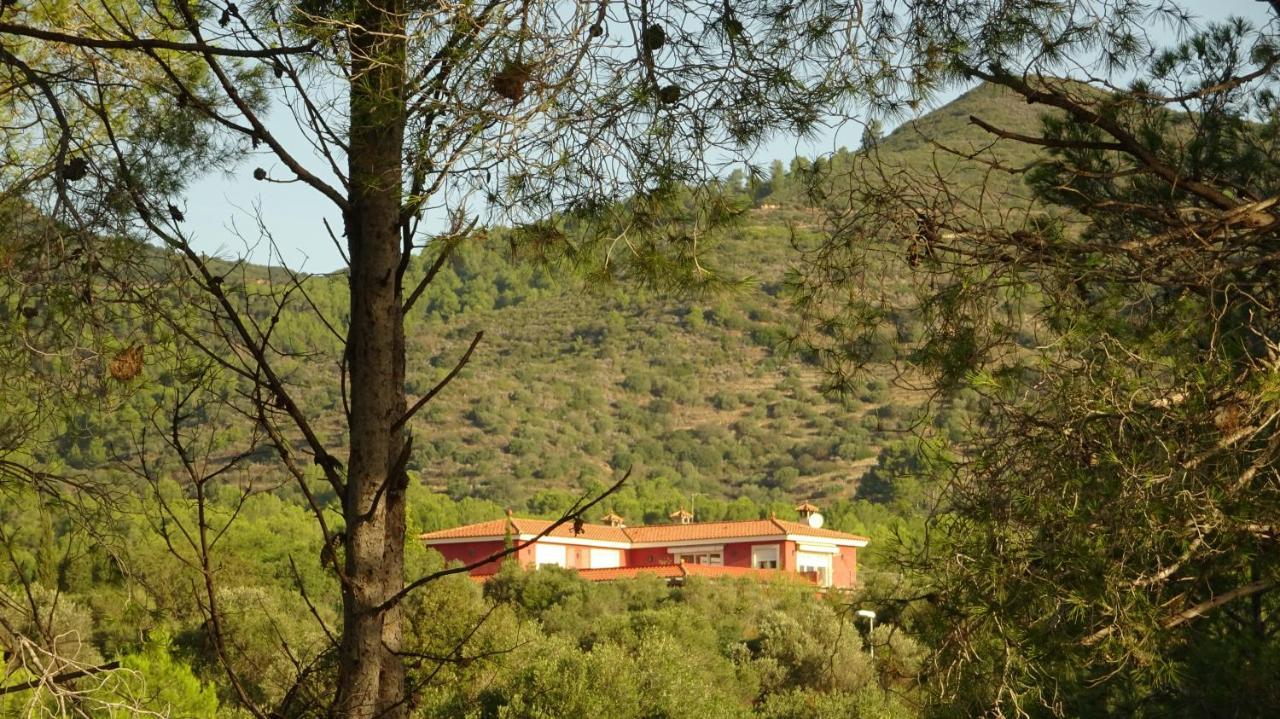 L'Albaida, Tranquility, Views Of Sea And Mountains Appartement Vilanova de Escornalbou Buitenkant foto