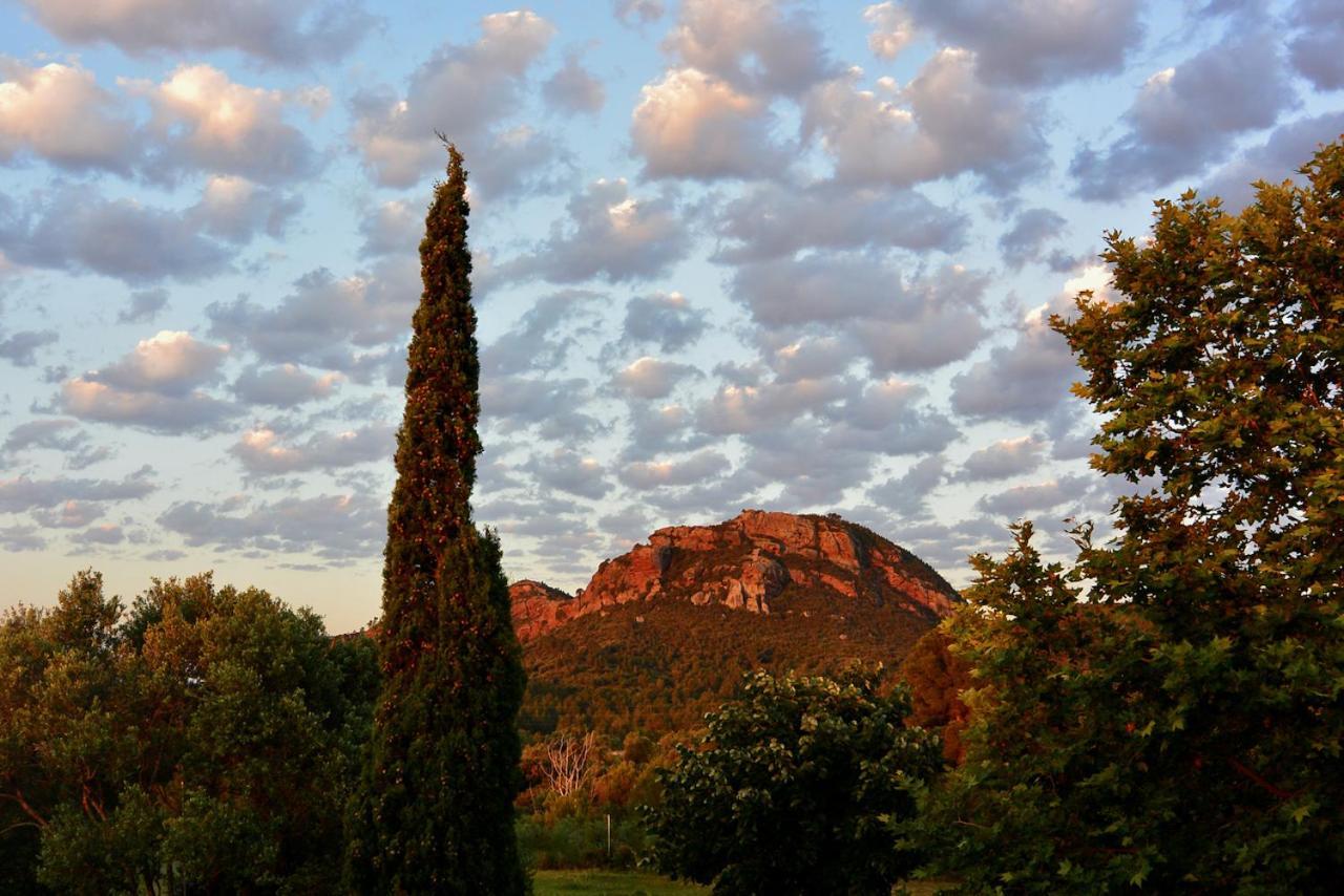 L'Albaida, Tranquility, Views Of Sea And Mountains Appartement Vilanova de Escornalbou Buitenkant foto