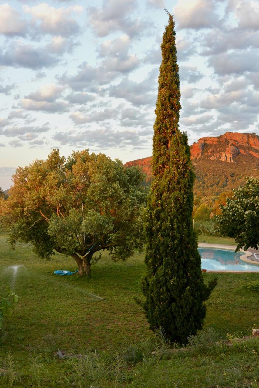 L'Albaida, Tranquility, Views Of Sea And Mountains Appartement Vilanova de Escornalbou Buitenkant foto