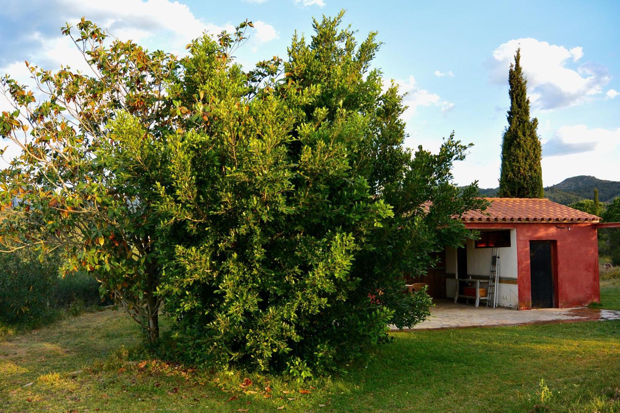 L'Albaida, Tranquility, Views Of Sea And Mountains Appartement Vilanova de Escornalbou Kamer foto