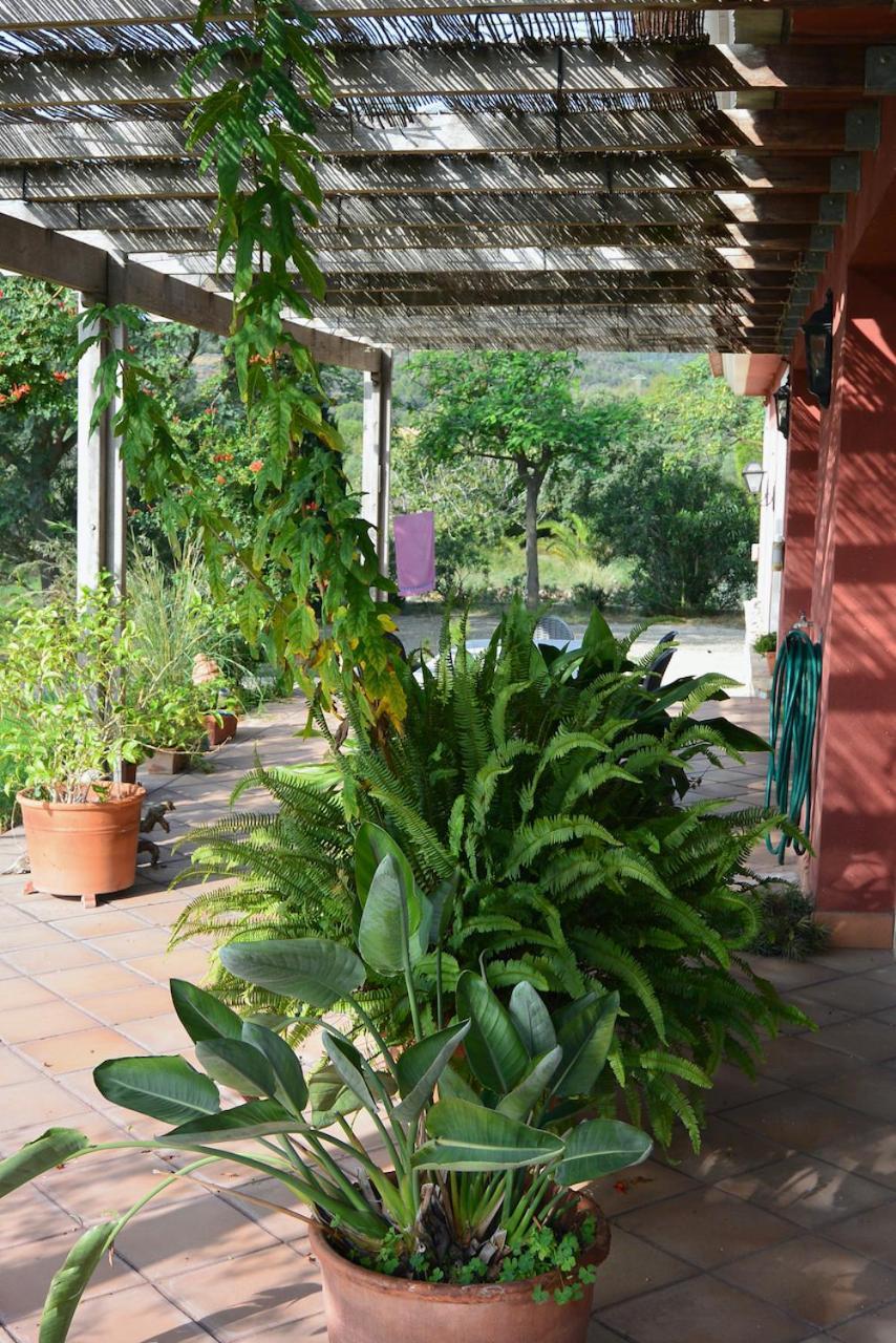 L'Albaida, Tranquility, Views Of Sea And Mountains Appartement Vilanova de Escornalbou Buitenkant foto