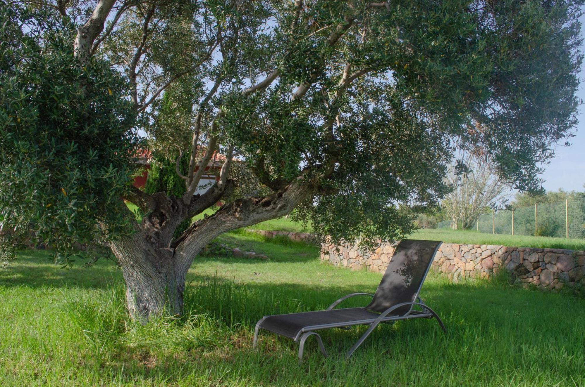 L'Albaida, Tranquility, Views Of Sea And Mountains Appartement Vilanova de Escornalbou Buitenkant foto